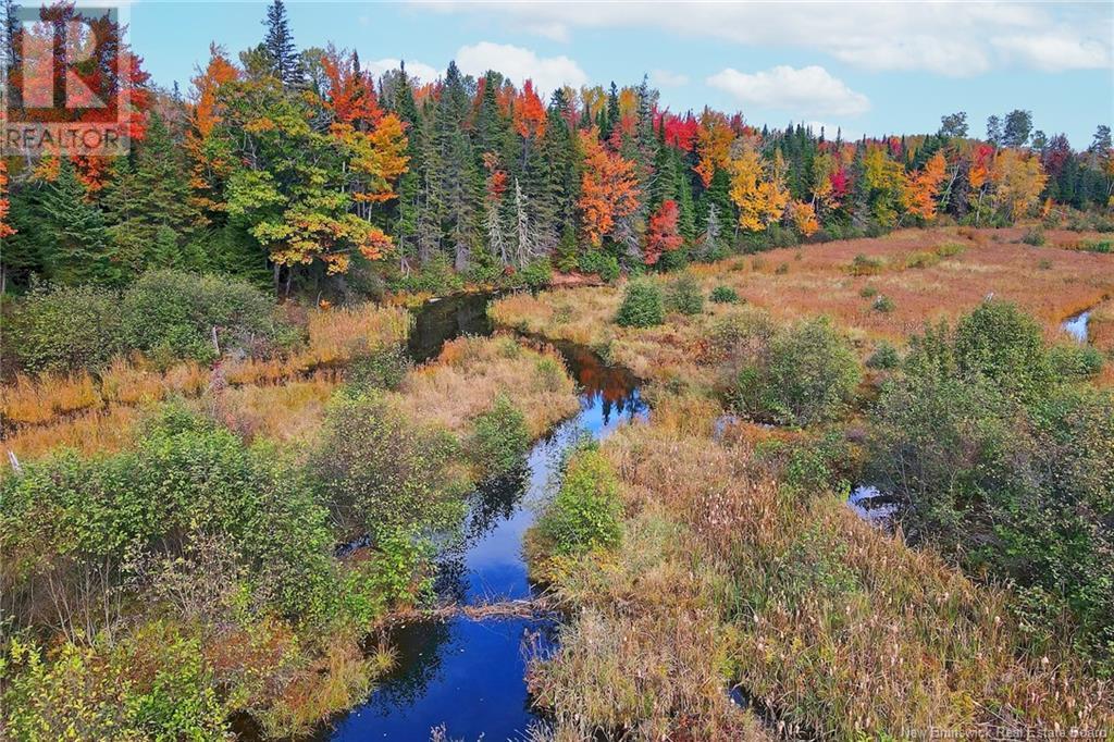 690 Route, Flowers Cove, New Brunswick  O0O 0O0 - Photo 23 - NB107945