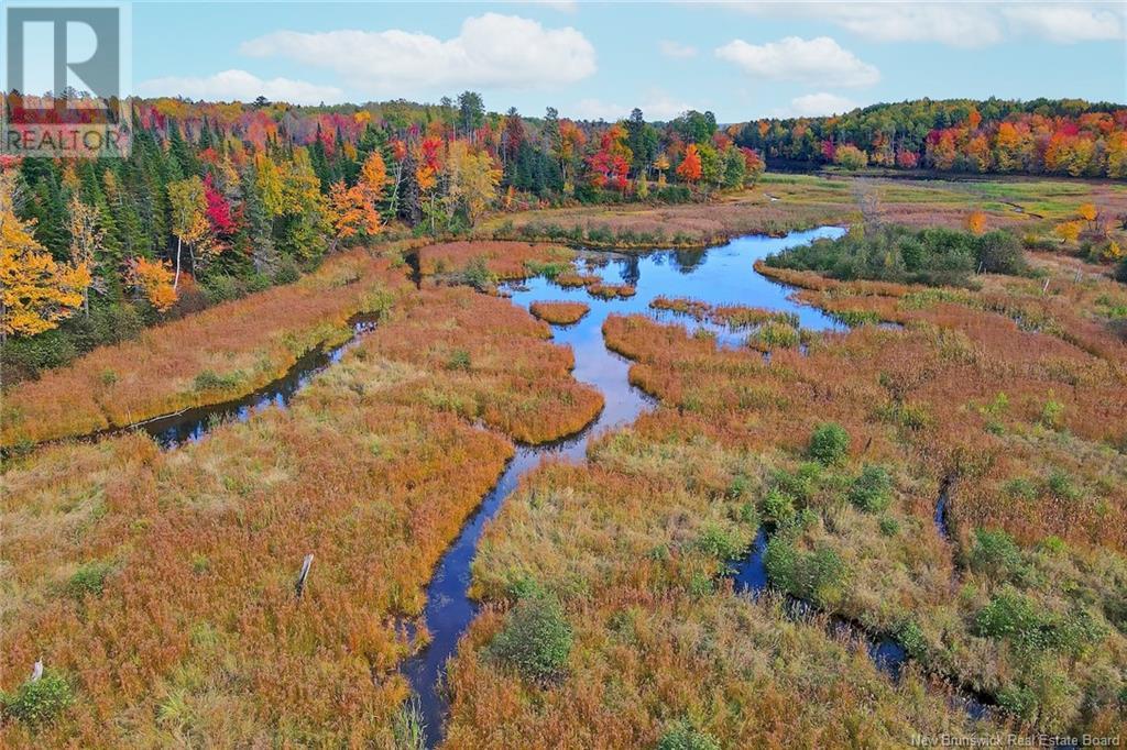 690 Route, Flowers Cove, New Brunswick  O0O 0O0 - Photo 25 - NB107945