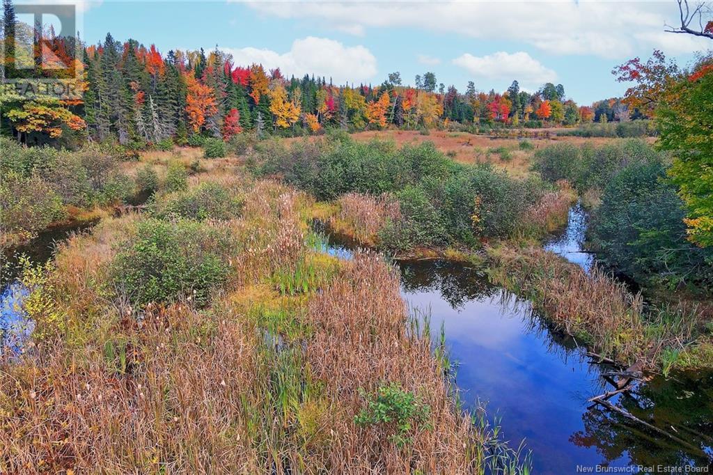 690 Route, Flowers Cove, New Brunswick  O0O 0O0 - Photo 36 - NB107945