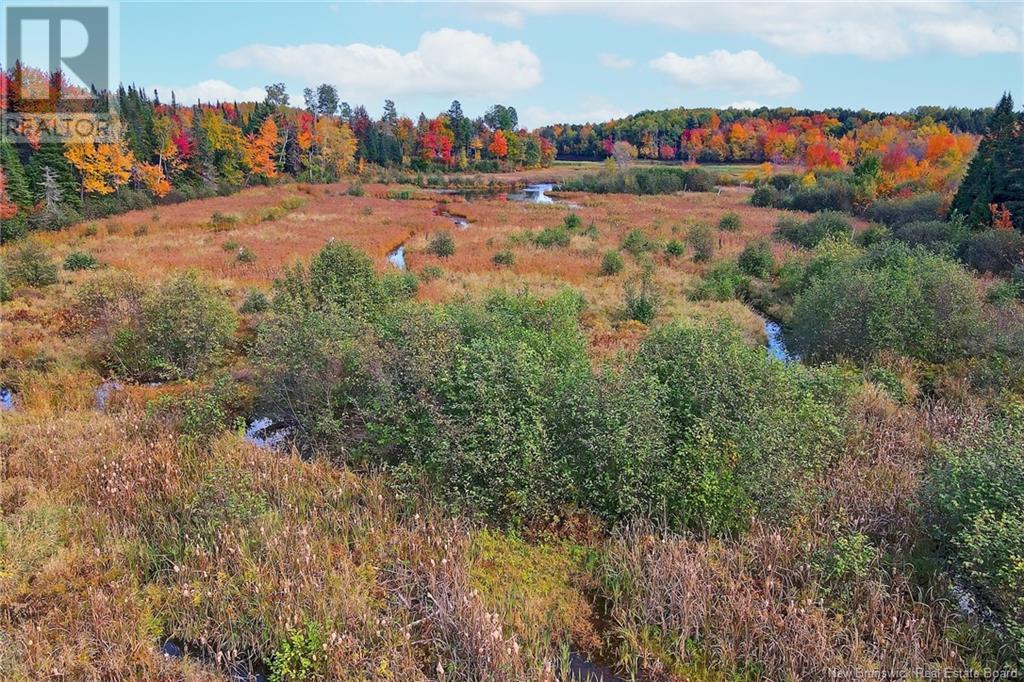 690 Route, Flowers Cove, New Brunswick  O0O 0O0 - Photo 38 - NB107945