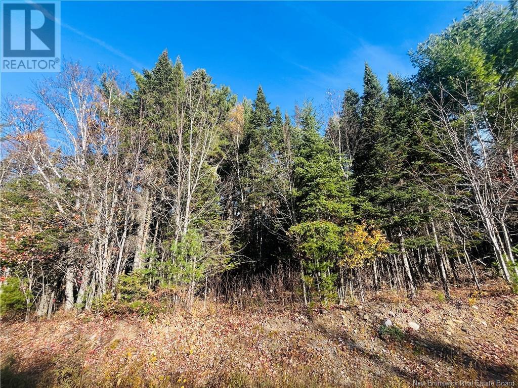 0 South Renous Road, Renous, New Brunswick  E9E 2L9 - Photo 3 - NB108042