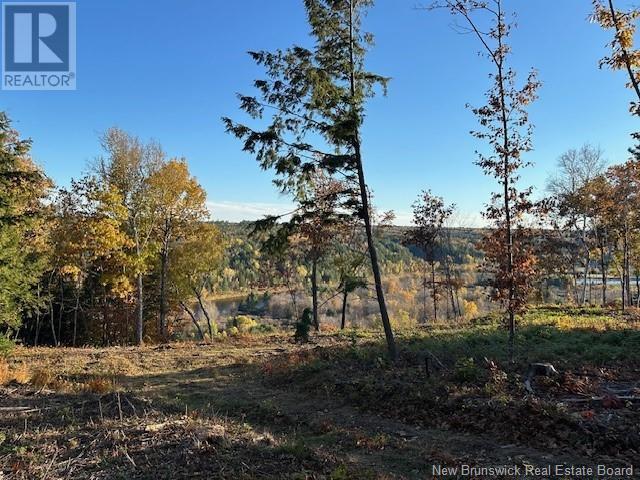 2017-3 Storeytown Road, Priceville, New Brunswick  E9C 2J4 - Photo 11 - NB108137