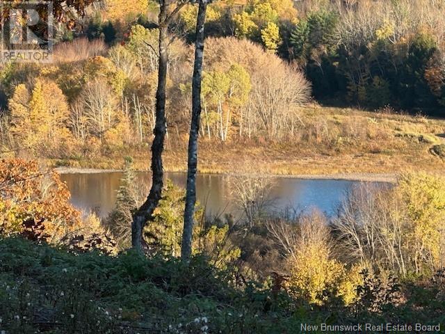 2017-3 Storeytown Road, Priceville, New Brunswick  E9C 2J4 - Photo 7 - NB108137