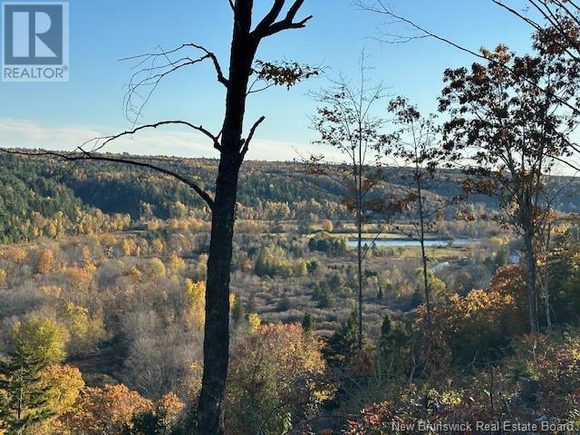 2017-3 Storeytown Road, Priceville, New Brunswick  E9C 2J4 - Photo 9 - NB108137