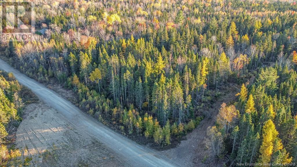 24-1 Bernadette Lane, Yoho, New Brunswick  E3E 2P4 - Photo 4 - NB108125