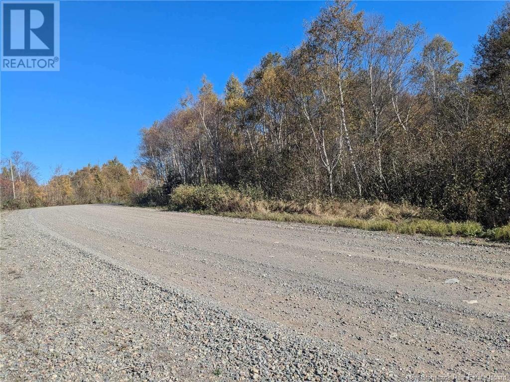 Lot 30 Fundy Drive, Campobello, New Brunswick  E5E 1C1 - Photo 3 - NB107981