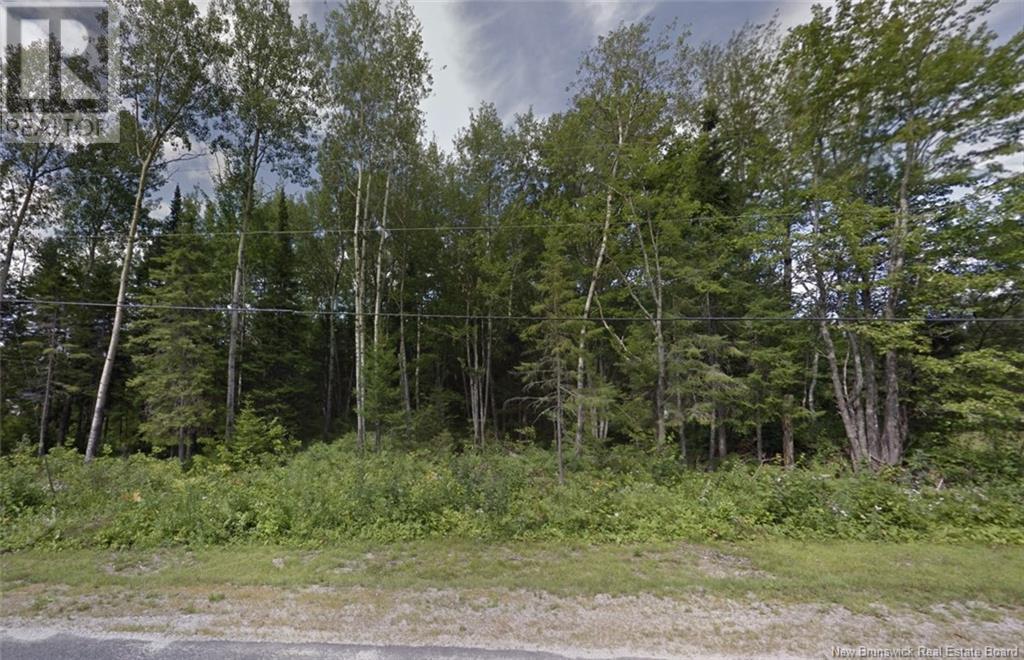 4001 Sqm Telly Road, Beaver Brook, New Brunswick  E1V 4T1 - Photo 3 - NB108205