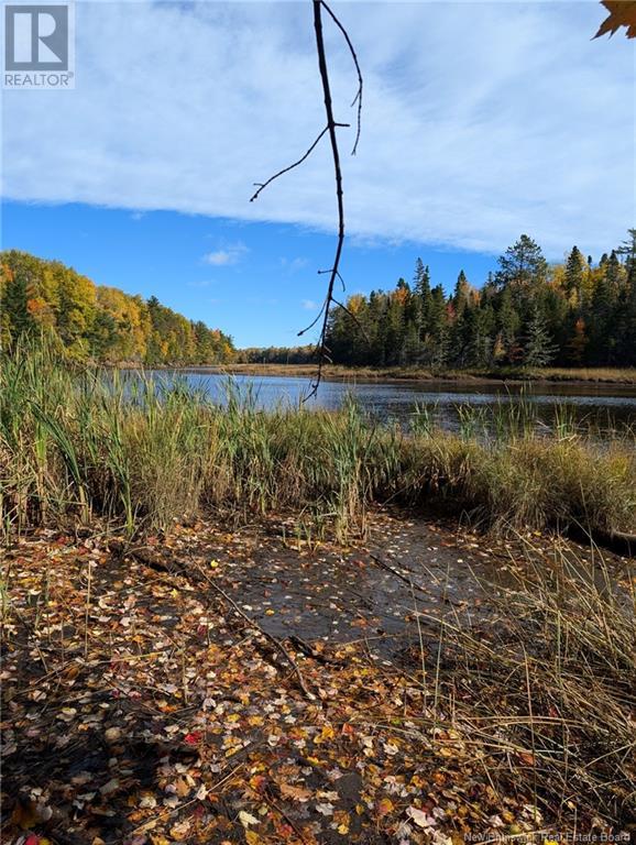 Lot Auburnville Road, Hardwicke, New Brunswick  E1N 5P3 - Photo 6 - NB108333