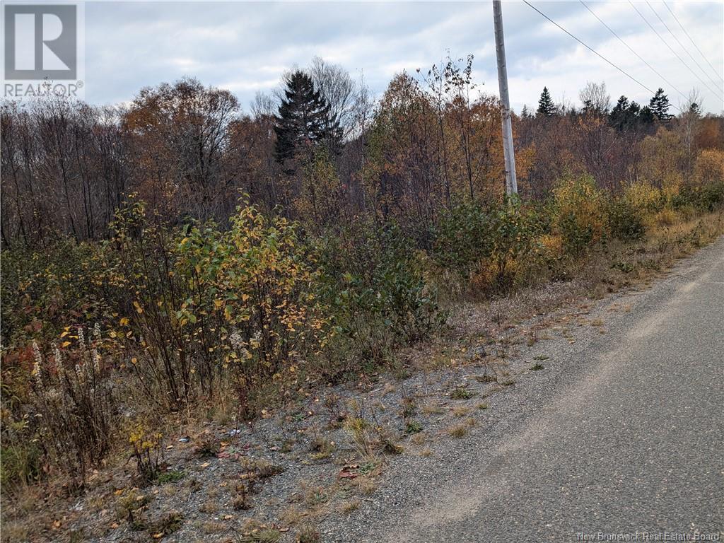 86-321 Fundy Drive, Campobello, New Brunswick  E5E 1C1 - Photo 5 - NB108382