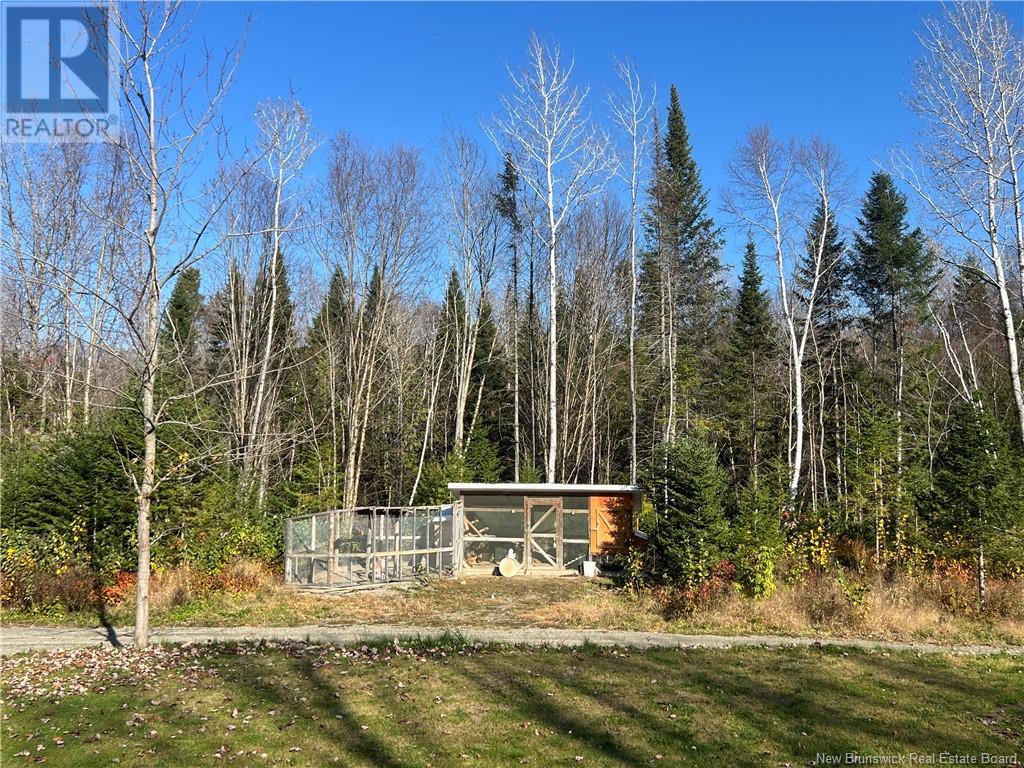 15833 Undine Road, Dsl De Drummond/dsl Of Drummond, New Brunswick  E3Y 2E8 - Photo 39 - NB108407