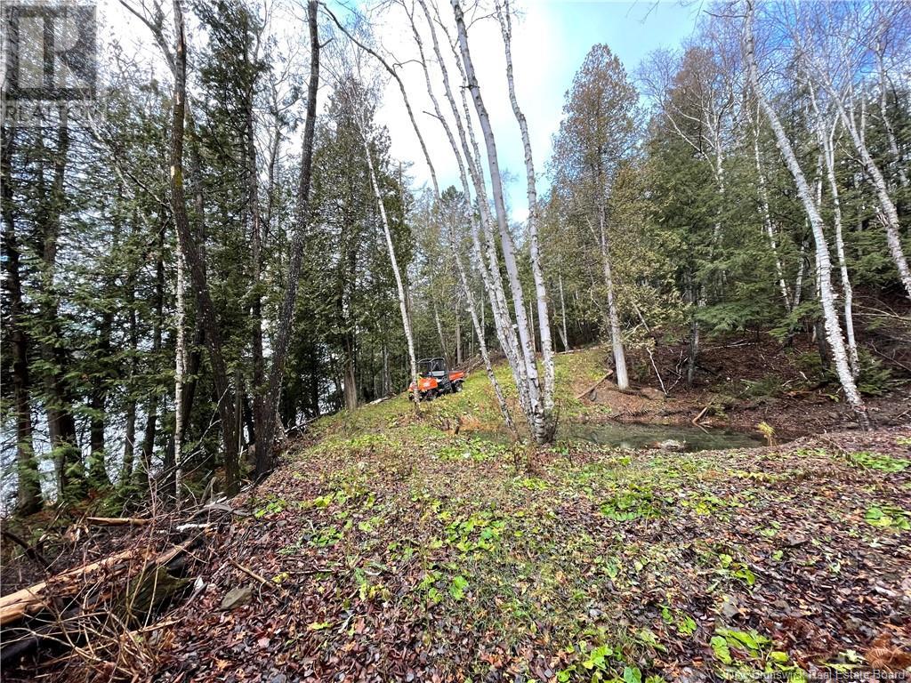 Undine Road, Dsl De Drummond/dsl Of Drummond, New Brunswick  E3Y 2E8 - Photo 20 - NB108415