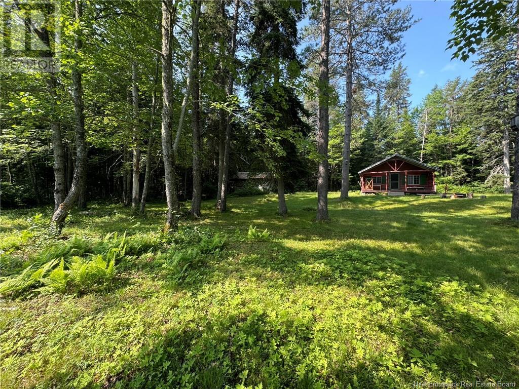 Camp Lease Land Shinnickburn Road, Cains River, New Brunswick  E9B 2H4 - Photo 15 - NB108445