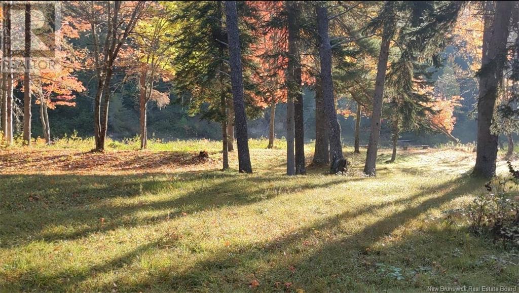 Camp Lease Land Shinnickburn Road, Cains River, New Brunswick  E9B 2H4 - Photo 18 - NB108445