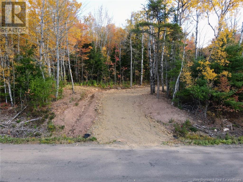 110 Beech Hill, Weldon, New Brunswick  E4H 4N5 - Photo 3 - NB108396