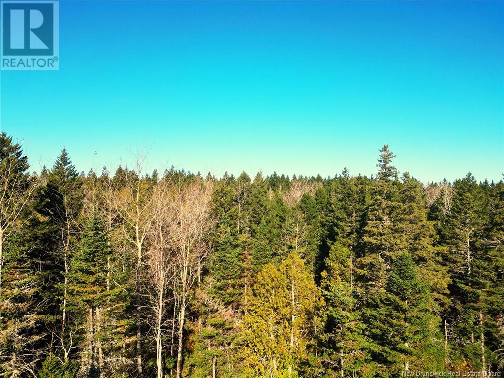 Lot 85-18 Harbour Heights Drive, Welshpool, New Brunswick  E5E 1H9 - Photo 3 - NB108485