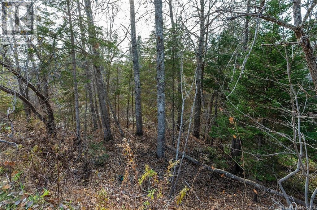 Lot Portage Vale Road, Portage, New Brunswick  E4Z 3E7 - Photo 26 - NB108511