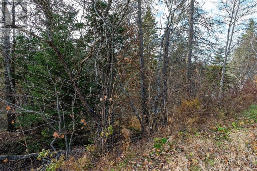 Lot Portage Vale Road, Portage, New Brunswick  E4Z 3E7 - Photo 27 - NB108511