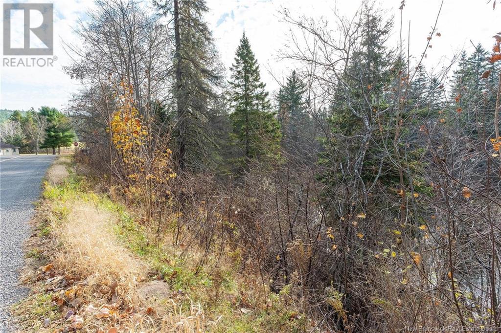 Lot Portage Vale Road, Portage, New Brunswick  E4Z 3E7 - Photo 33 - NB108511