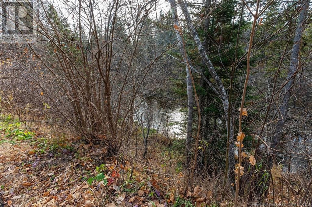 Lot Portage Vale Road, Portage, New Brunswick  E4Z 3E7 - Photo 34 - NB108511