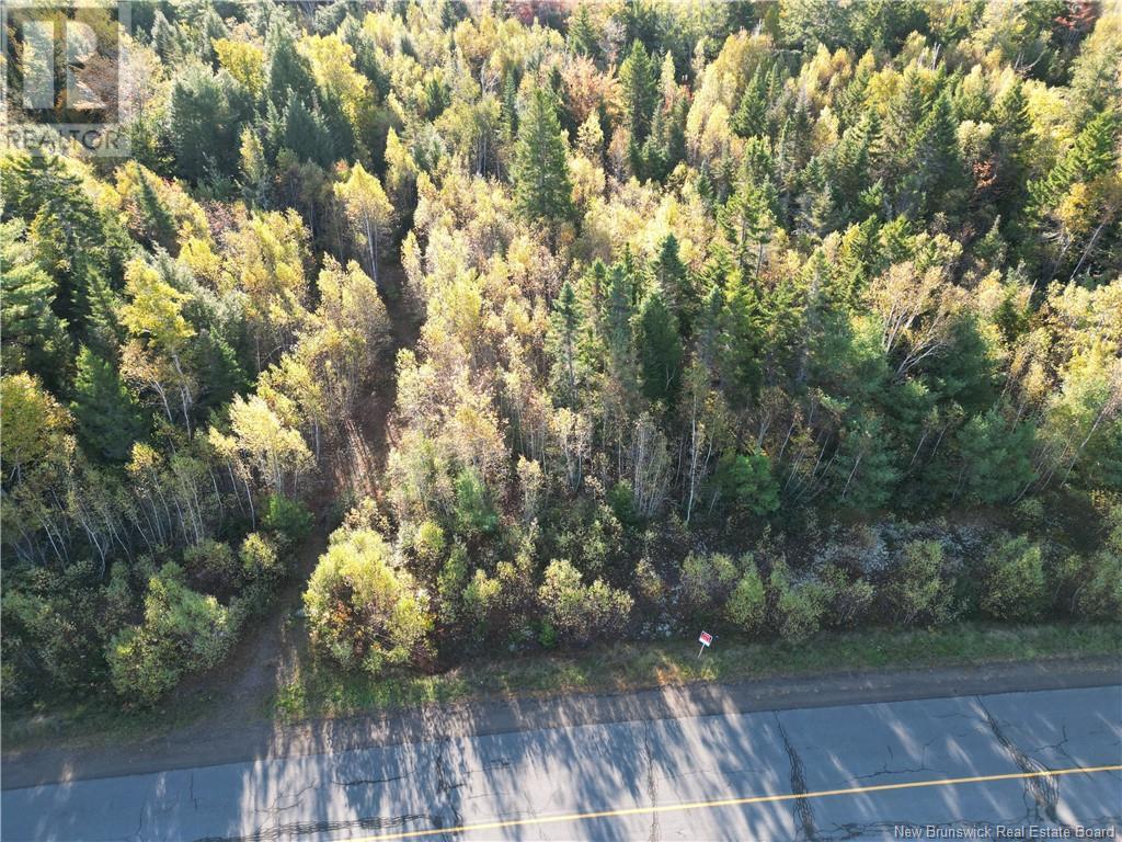 Lot 93-1 Route 105, Jemseg, New Brunswick  E4C 3M1 - Photo 3 - NB108512