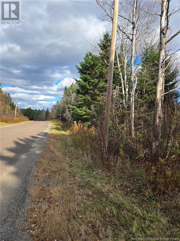 Lot Worden Road, Kingston, New Brunswick  E5N 1T4 - Photo 10 - NB108510