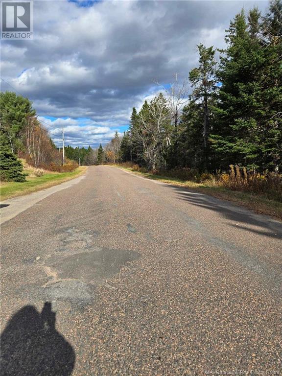 Lot Worden Road, Kingston, New Brunswick  E5N 1T4 - Photo 11 - NB108510