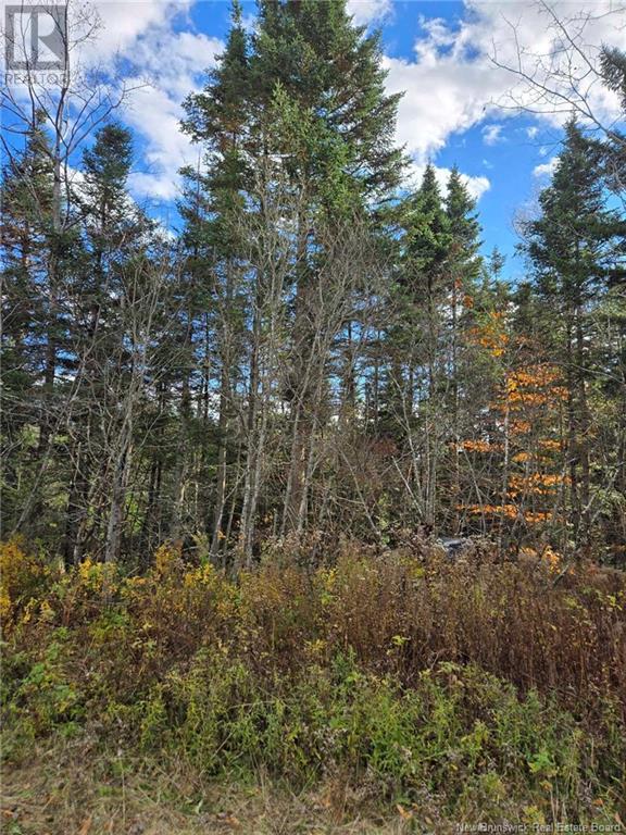 Lot Worden Road, Kingston, New Brunswick  E5N 1T4 - Photo 20 - NB108510