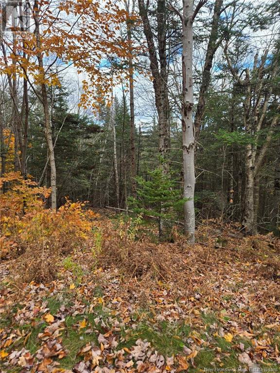 Lot Worden Road, Kingston, New Brunswick  E5N 1T4 - Photo 6 - NB108510