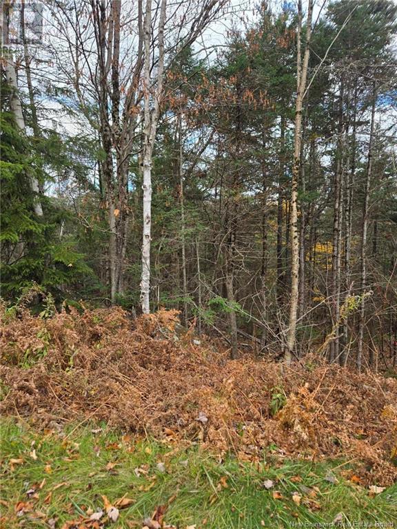 21-01 Worden Road, Kingston, New Brunswick  E5N 0A7 - Photo 11 - NB108507