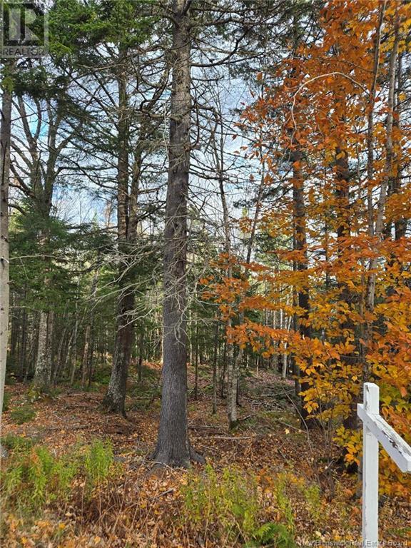 21-01 Worden Road, Kingston, New Brunswick  E5N 0A7 - Photo 13 - NB108507