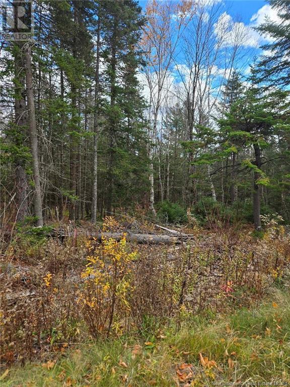 21-01 Worden Road, Kingston, New Brunswick  E5N 0A7 - Photo 14 - NB108507