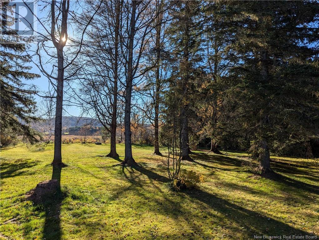 10 Ch Theriault, Sainte-Anne-De-Madawaska, New Brunswick  E7E 1S6 - Photo 35 - NB108449