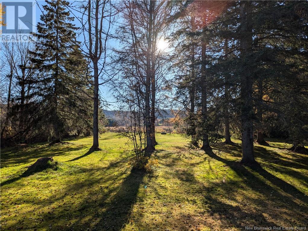 10 Ch Theriault, Sainte-Anne-De-Madawaska, New Brunswick  E7E 1S6 - Photo 36 - NB108449