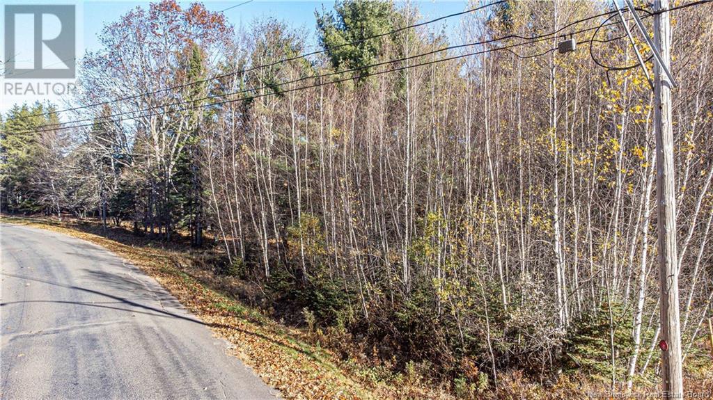 Lot Gore Road, Fredericton Junction, New Brunswick  E5L 1S1 - Photo 11 - NB108557