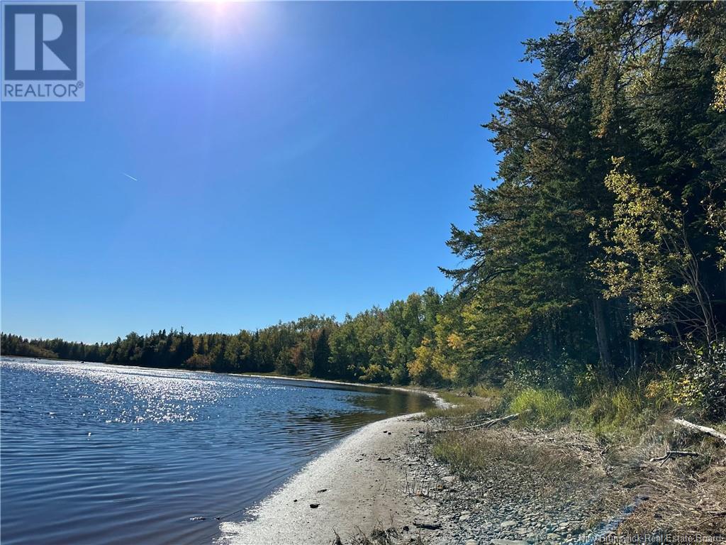 Lot North Black River Road, Black River Bridge, New Brunswick  E1N 5T3 - Photo 13 - NB108591