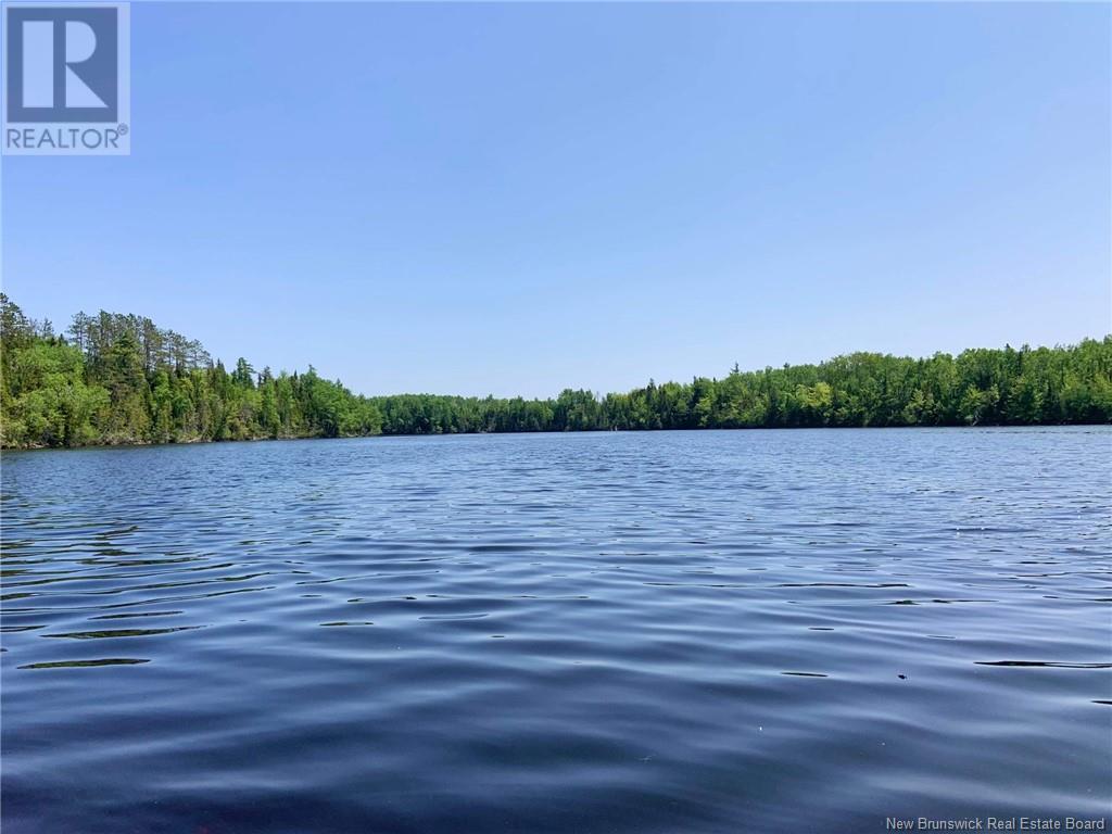 Lot North Black River Road, Black River Bridge, New Brunswick  E1N 5T3 - Photo 14 - NB108591