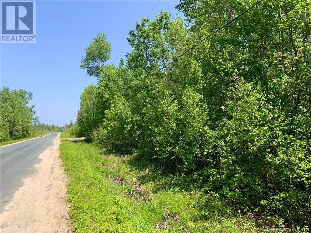 Lot North Black River Road, Black River Bridge, New Brunswick  E1N 5T3 - Photo 15 - NB108591