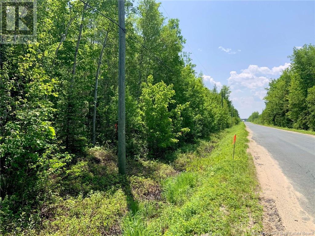 Lot North Black River Road, Black River Bridge, New Brunswick  E1N 5T3 - Photo 16 - NB108591