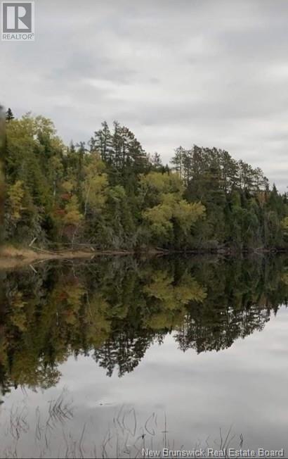 Lot North Black River Road, Black River Bridge, New Brunswick  E1N 5T3 - Photo 6 - NB108591