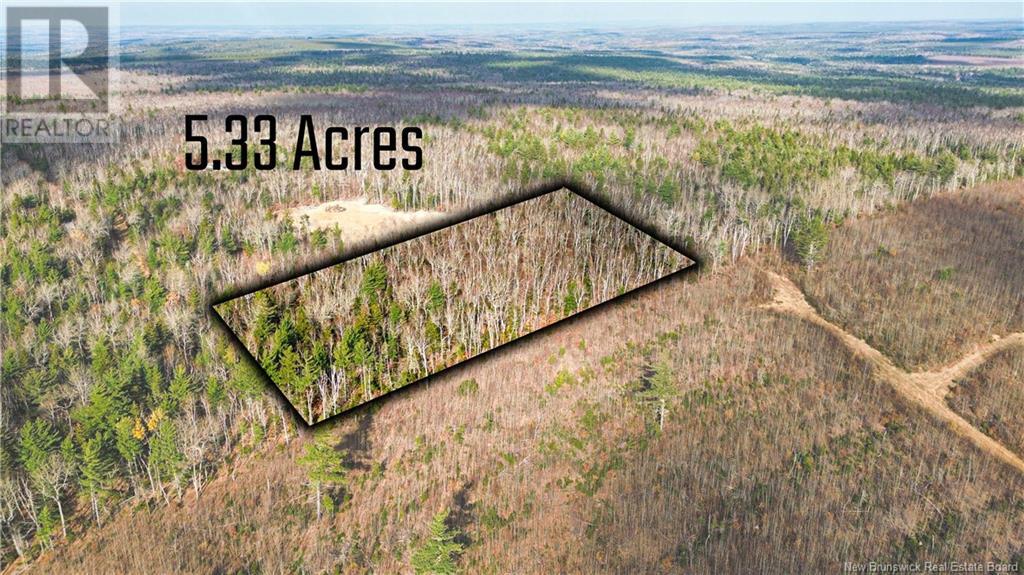 Lot #20 Green Road, elgin, New Brunswick