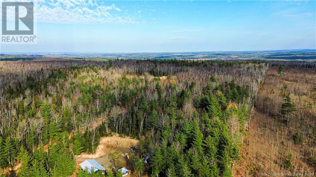 Lot #20 Green Road, Elgin, New Brunswick  E4Z 1V2 - Photo 11 - NB108686