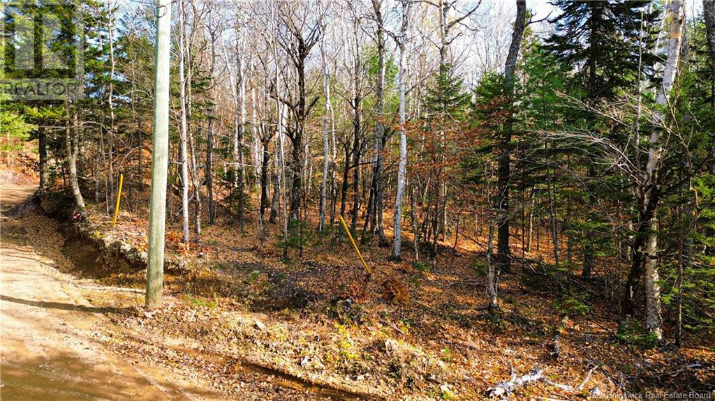 Lot #20 Green Road, Elgin, New Brunswick  E4Z 1V2 - Photo 2 - NB108686