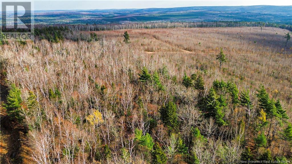 Lot #20 Green Road, Elgin, New Brunswick  E4Z 1V2 - Photo 3 - NB108686