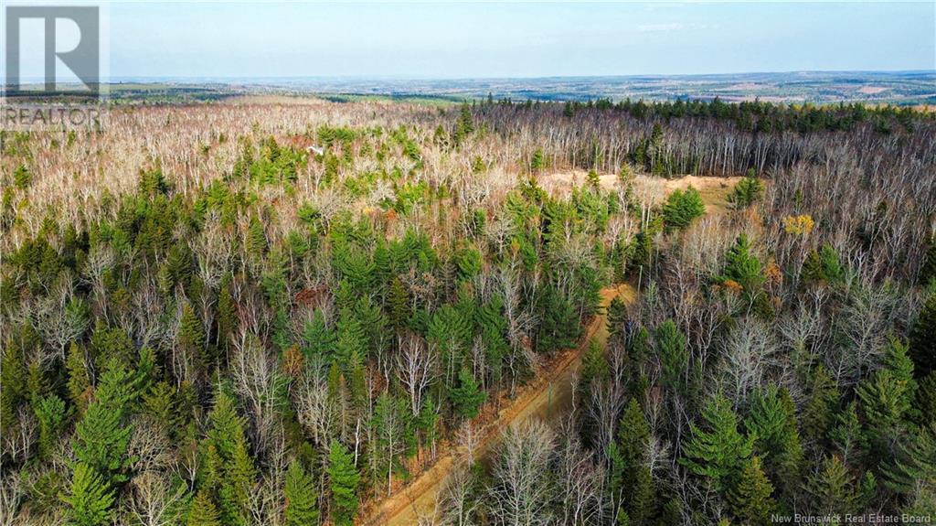 Lot #20 Green Road, Elgin, New Brunswick  E4Z 1V2 - Photo 8 - NB108686