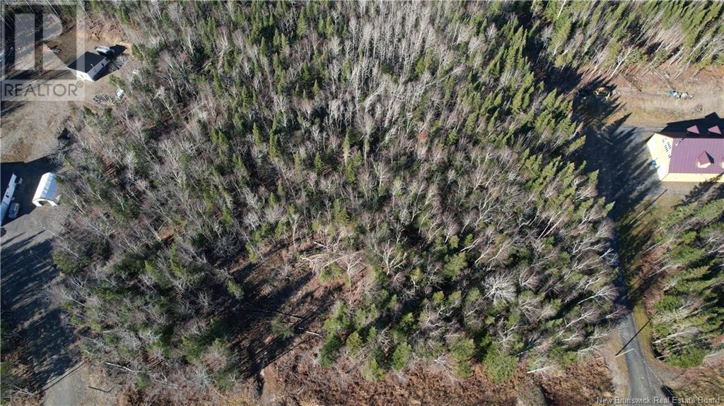 Lot Riviere-Quisibis Road, Green River, New Brunswick  E7C 2Y8 - Photo 3 - NB108692