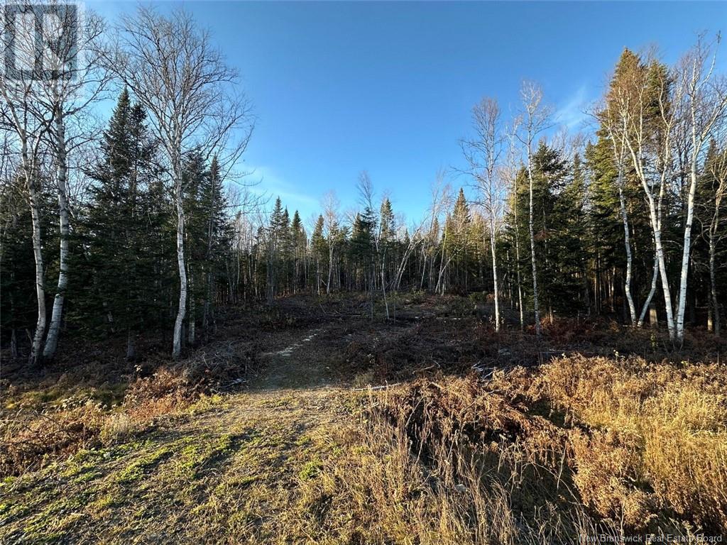 Lot Riviere-Quisibis Road, Green River, New Brunswick  E7C 2Y8 - Photo 5 - NB108692