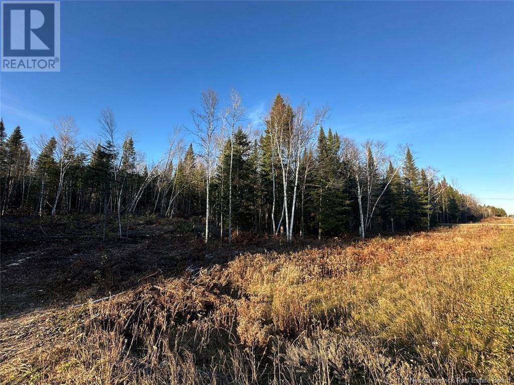 Lot Riviere-Quisibis Road, Green River, New Brunswick  E7C 2Y8 - Photo 6 - NB108692