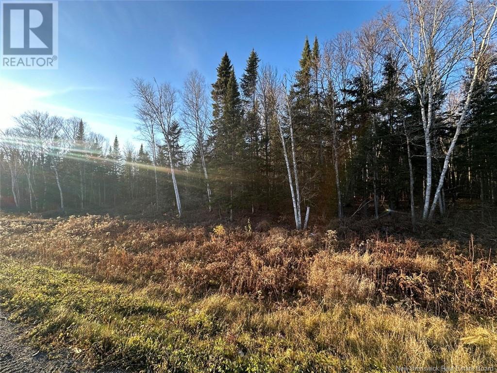 Lot Riviere-Quisibis Road, Green River, New Brunswick  E7C 2Y8 - Photo 7 - NB108692