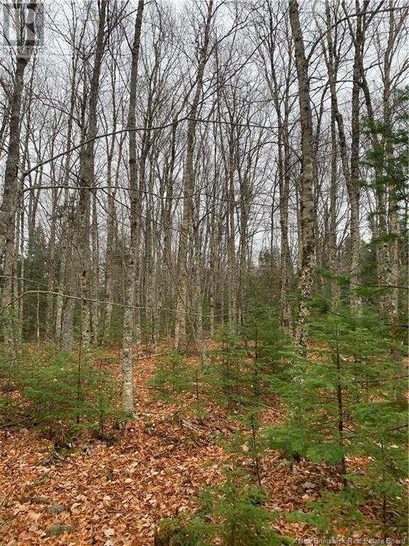 Upper Waweig Road, Upper Waweig, New Brunswick  E3L 4N1 - Photo 2 - NB108762