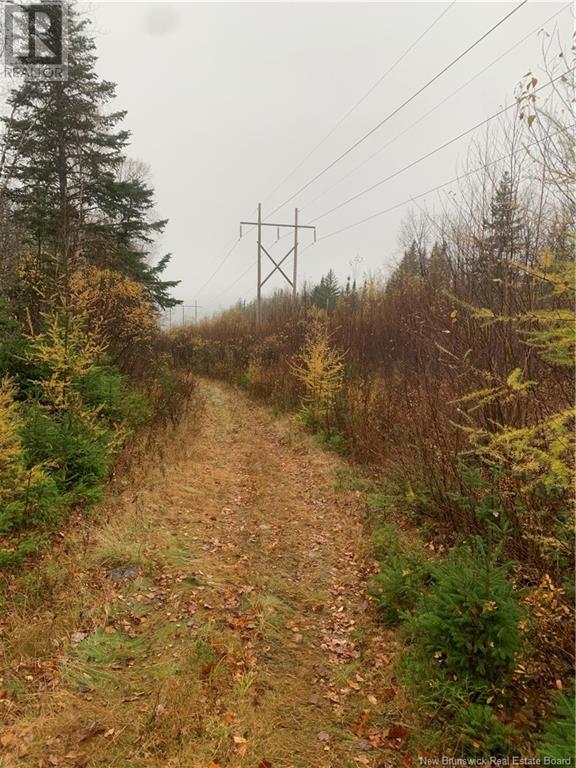 Upper Waweig Road, Upper Waweig, New Brunswick  E3L 4N1 - Photo 3 - NB108762